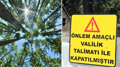 15 Eylül'e kadar ormanlara girişler yasaklanacak