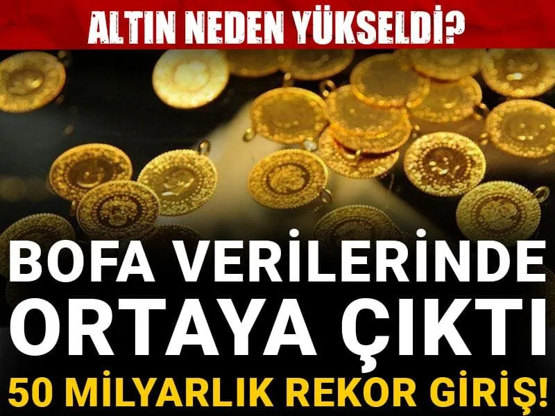 Altın neden yükseldi? BoFA verilerinde ortaya çıktı: 50 milyarlık rekor giriş!