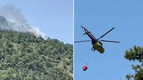 Ankara'da orman yangını