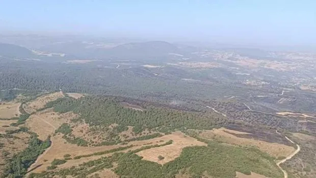 Balıkesir'in Kepsut ilçesindeki orman yangınları kontrol altına alındı: 5 gözaltı