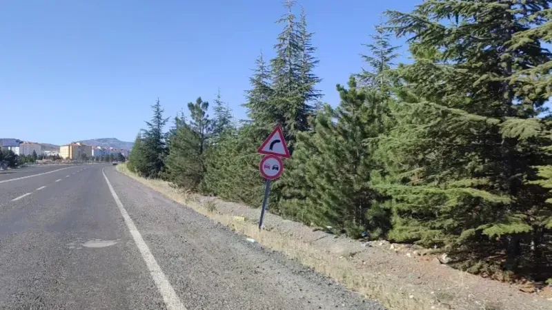 Bu ormanlar neden bakımsız?