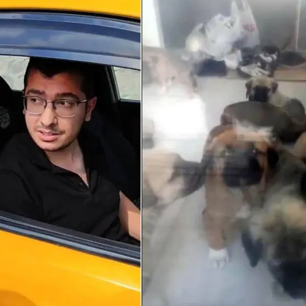 Çok sayıda hayvana cinsel istismar! Sapık doktora istenen ceza belli oldu!