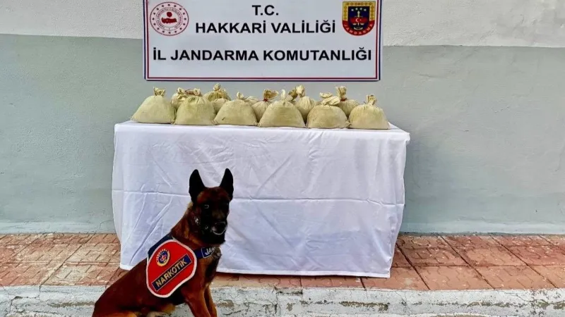 Hakkari'de 15 kilo esrar ele geçirildi 