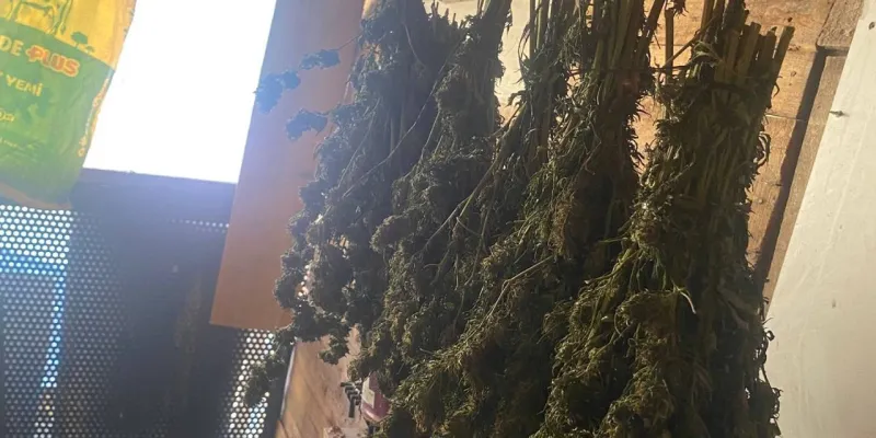 Güvercin Kümesinde Şok Baskın! Bursa'da Uyuşturucu Operasyonu