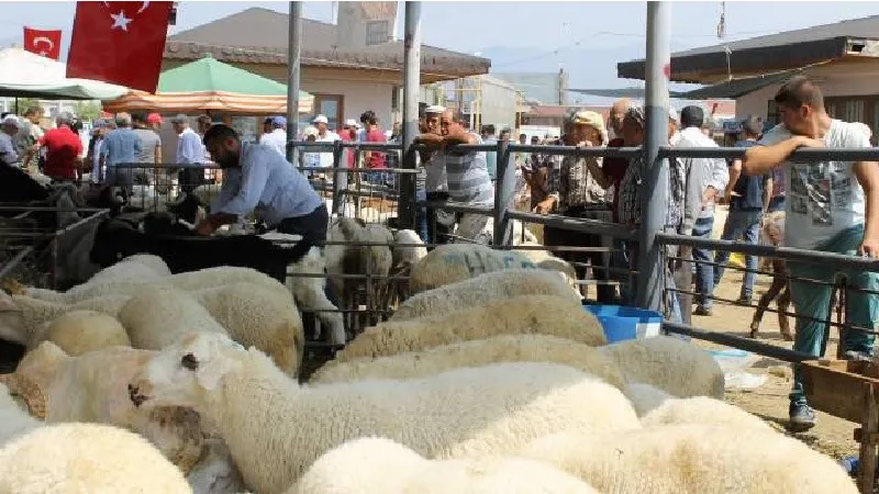 Kayseri'de Kurban Bayramı öncesi doğru kesim için prova yapıldı