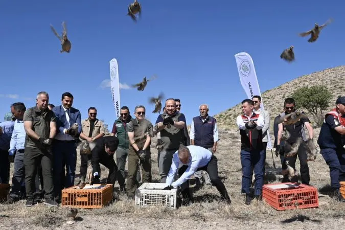 Nevşehir’de Doğaya 600 Kınalı Keklik Salındı