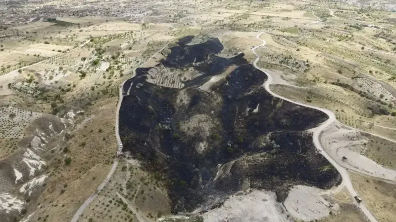 Ortahisar'da Korkutan Yangın: 16 Dönümlük Arazi Kül Oldu