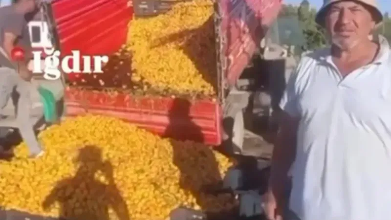 Yanıltıcı Paylaşıma Milyon Liralık Ceza!